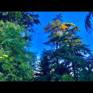 Meet your Posher, Ever